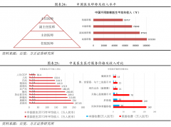 【深度报告】医生集团：医疗服务重新定价
