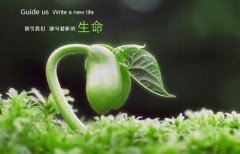 生命